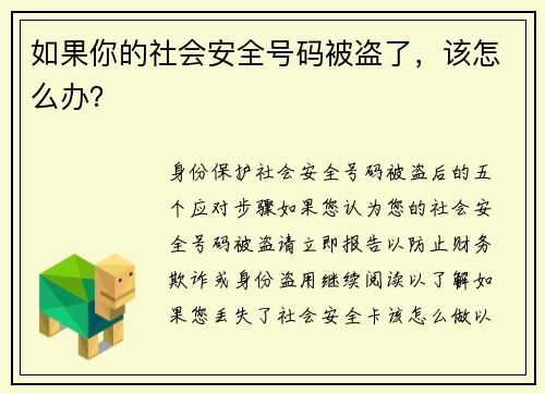如果你的社会安全号码被盗了，该怎么办？
